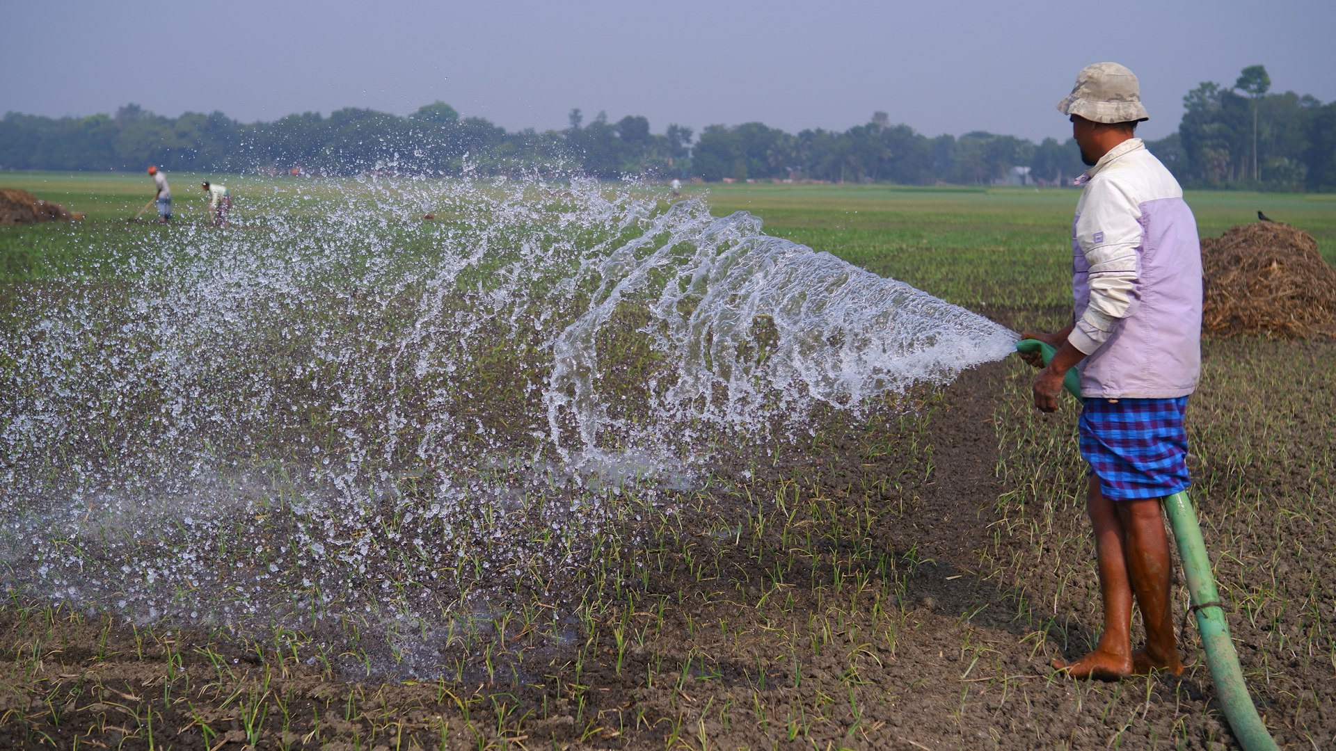 Water and food system activities for FSRP countries