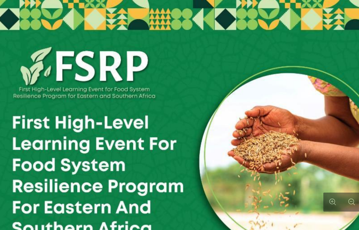 Estrategia y Plan de Acción del CAADP: 2026- 2035